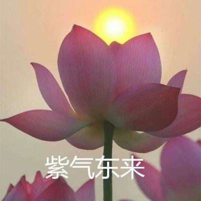 纵剑仙界h5官方版下载